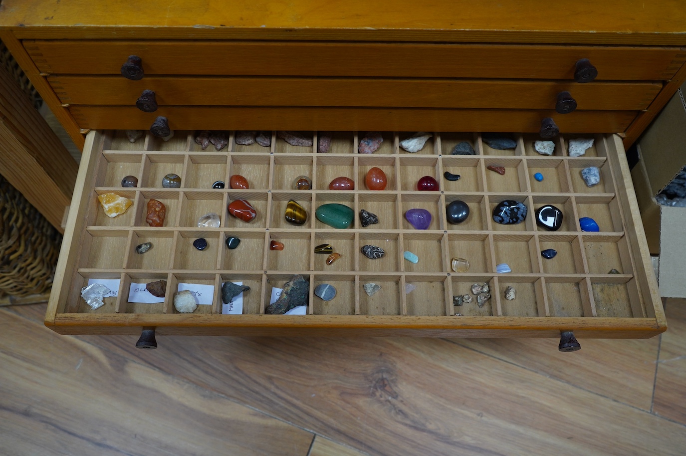 A collection of shells, rocks and specimen stones including; coral fragments, ammonites, quartz samples and other minerals, an echinoid, a selection of shells and a few reference books, most contained within two collecto